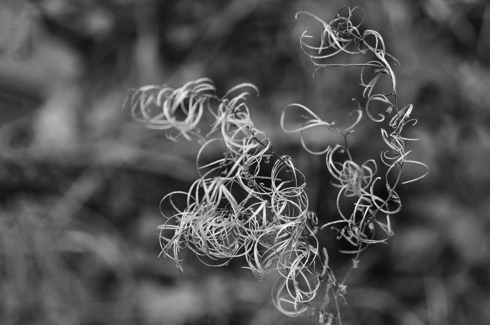 Photograph by Дерезюк Юрий Александрович