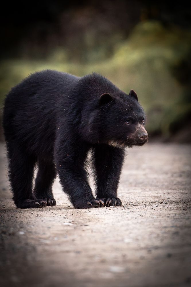 Photograph by María Paula Lozano