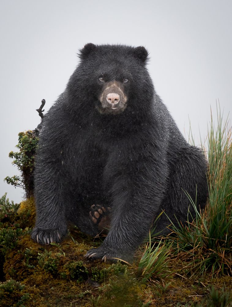 Photograph by María Paula Lozano