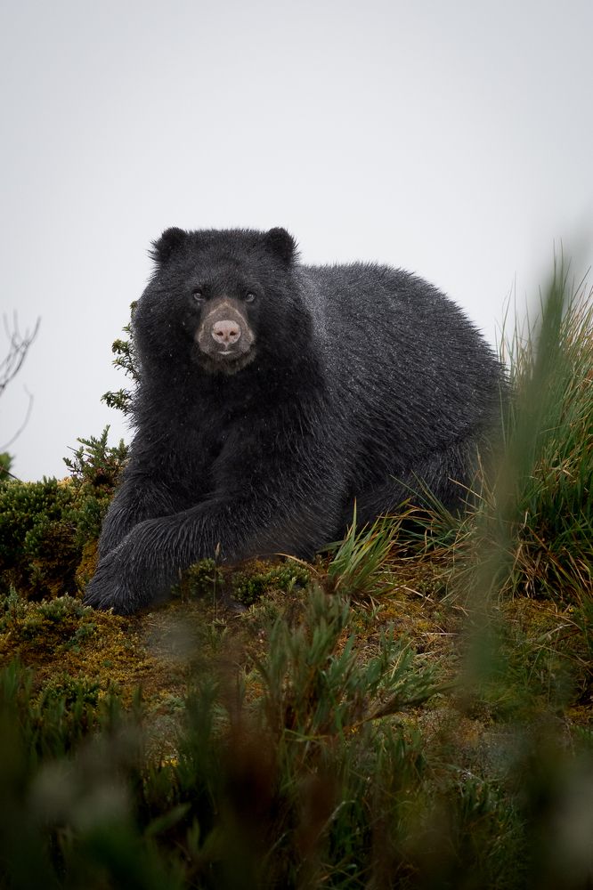 Photograph by María Paula Lozano