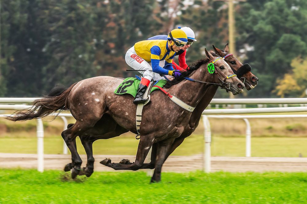 Фотография автора Carlos Gianoli