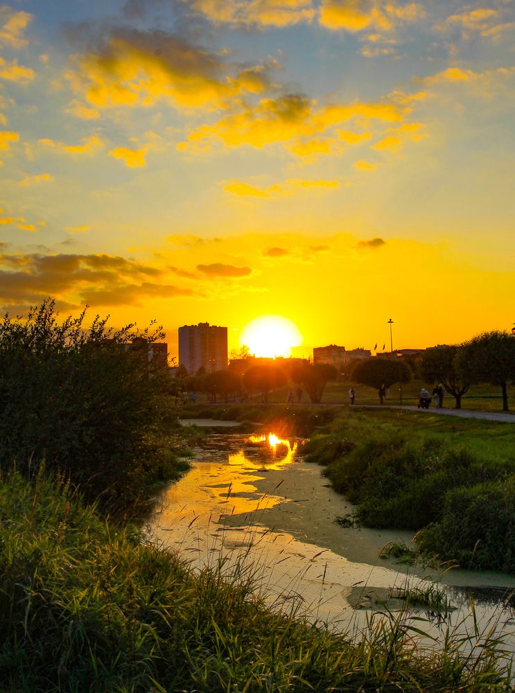 Фотография автора Алексей Зубков