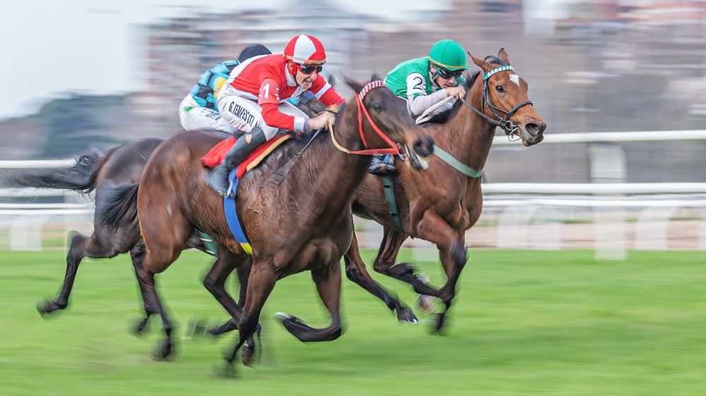 Фотография автора Carlos Gianoli