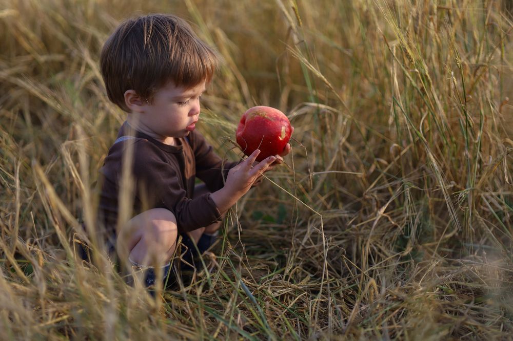 Фотография автора Екатерина Рядчикова