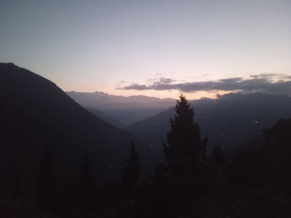 Photo #9904669