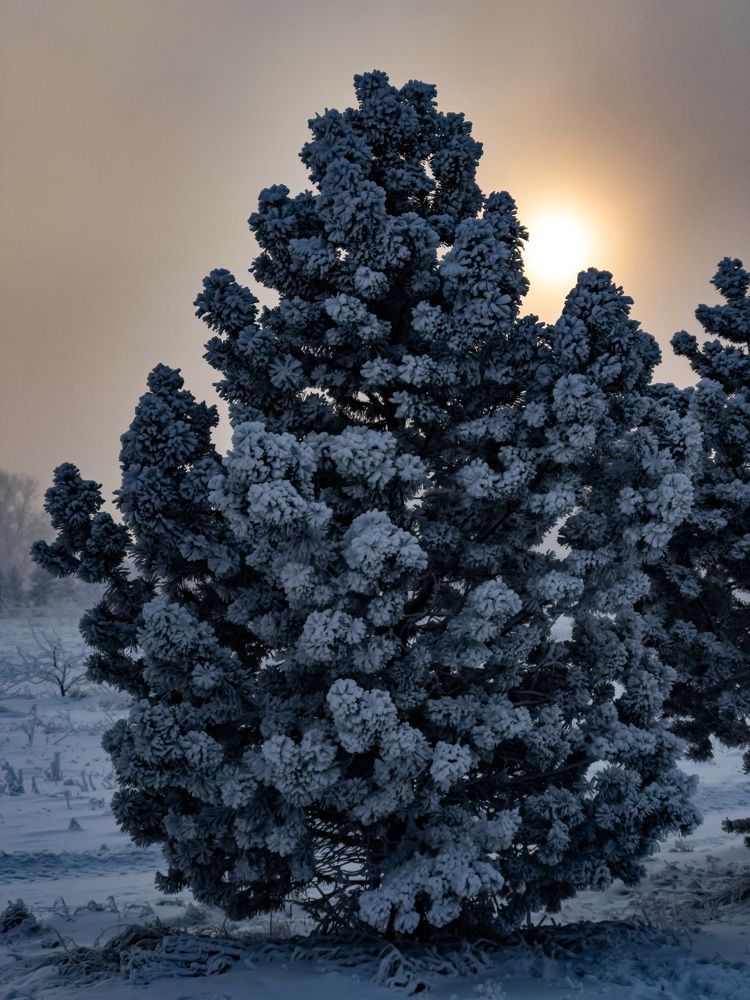 Photograph by Привалов Андрей