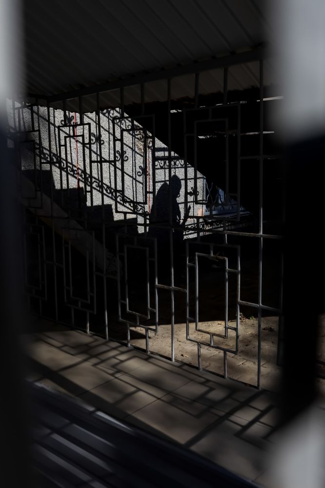 Photograph by Переверзева Татьяна