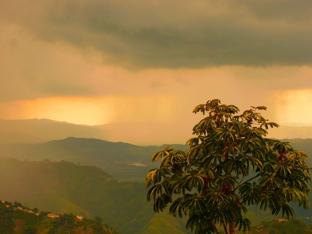 Los colores de la lluvia