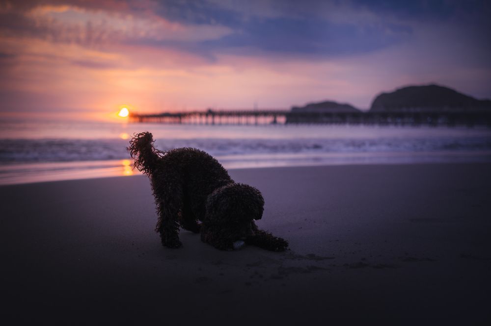 Photograph by Patricia Barros