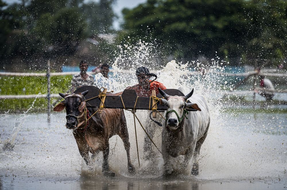 Photograph by Sharad Mansharamani