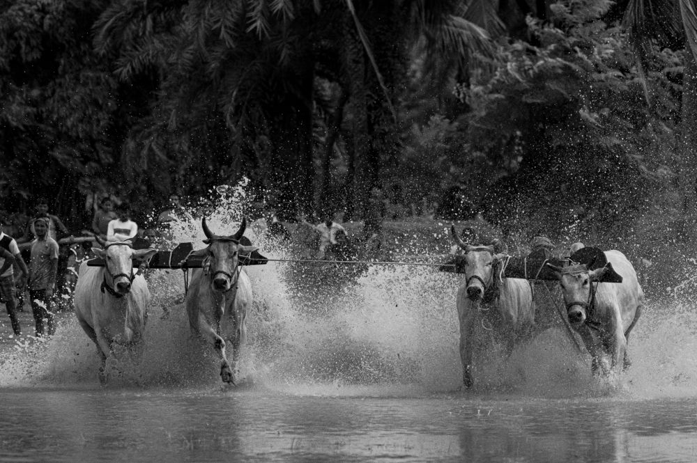 Photograph by Sharad Mansharamani