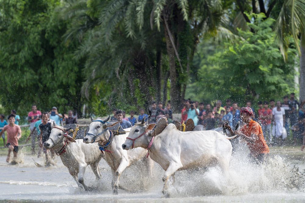Photograph by Sharad Mansharamani