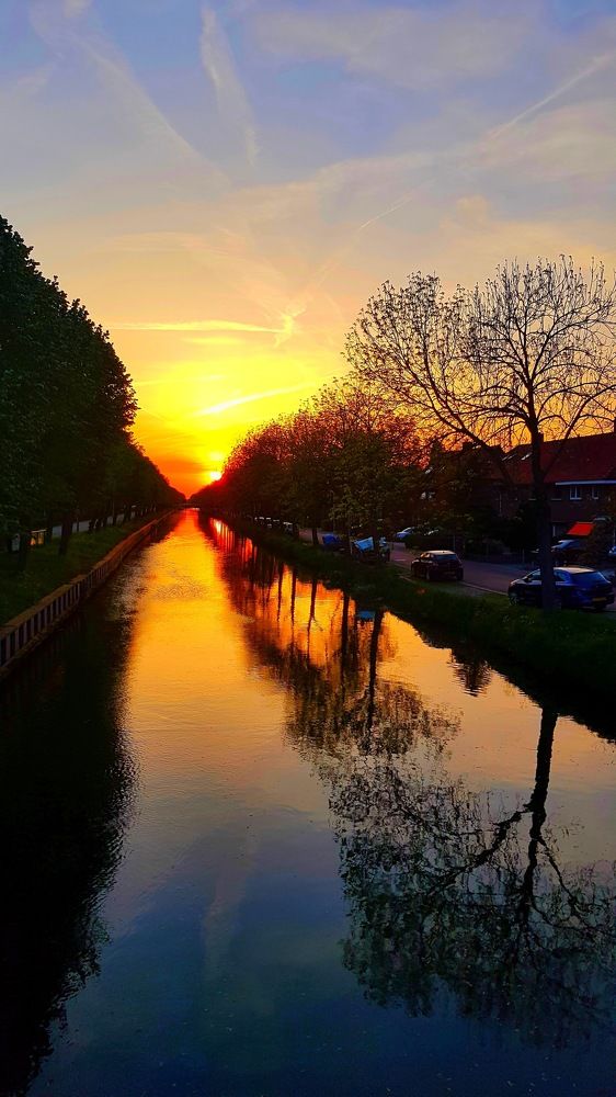 Photograph by Iris de Vos