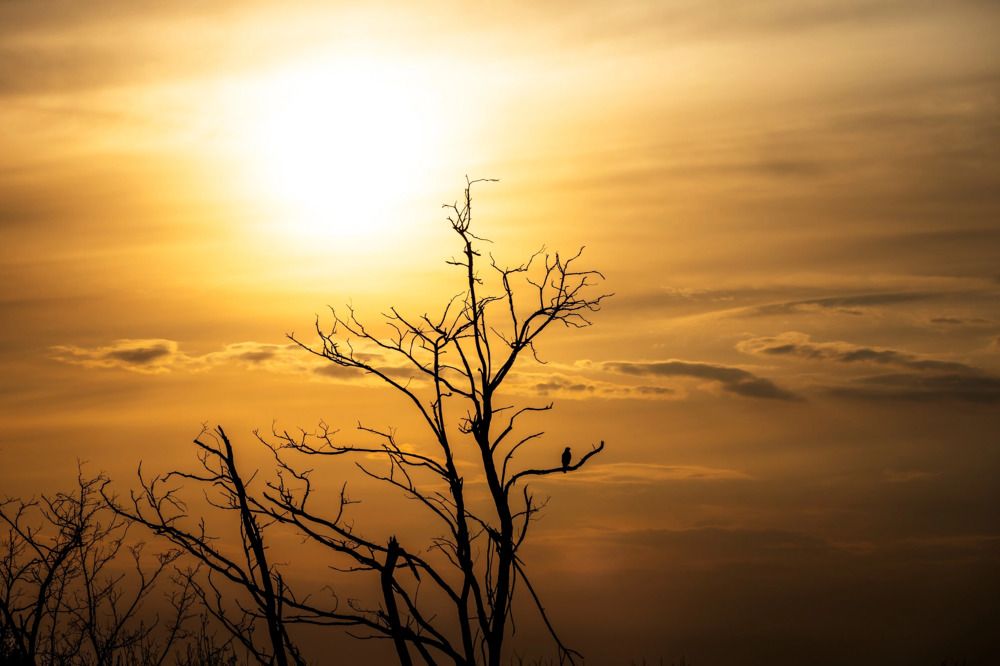 Photograph by Владимир Охрименко