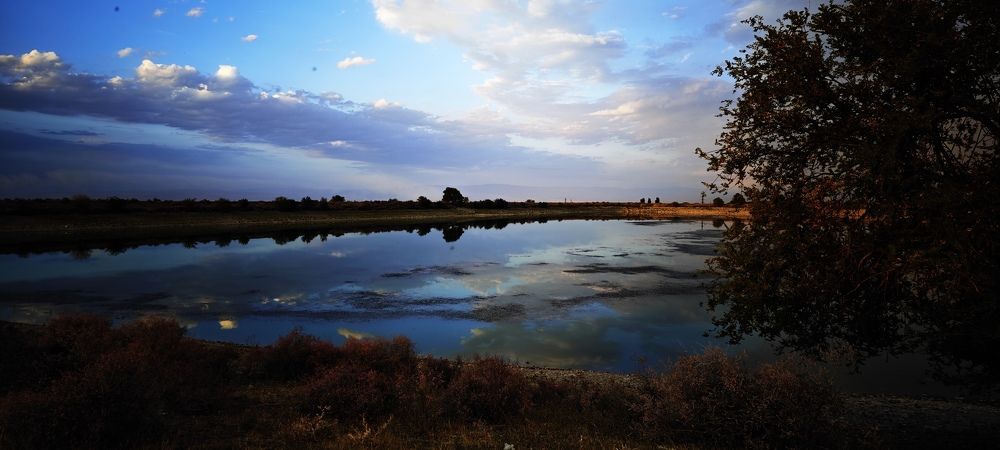 Photograph by Курлова Анна