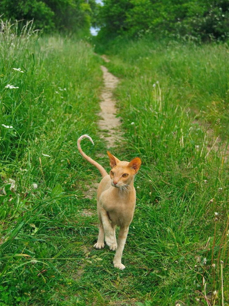 На прогулке