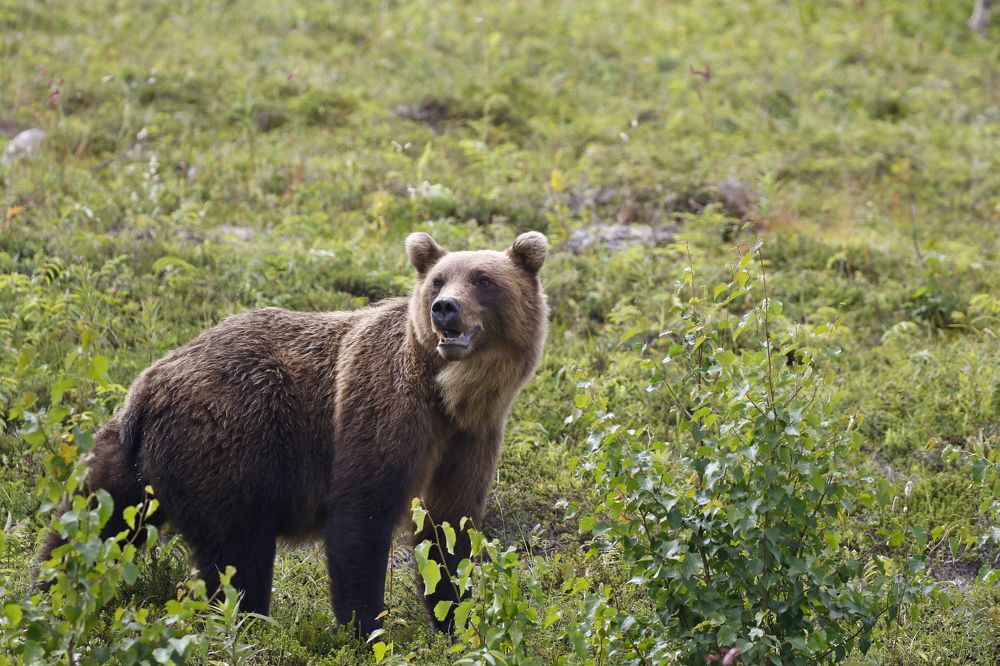 Photograph by Наталья Турчик