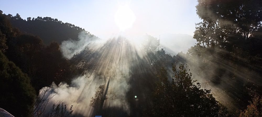 Photo #9904937