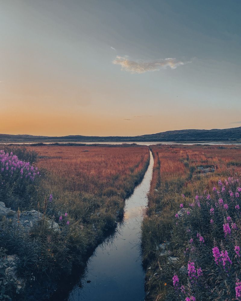 Photograph by Козинец Александр