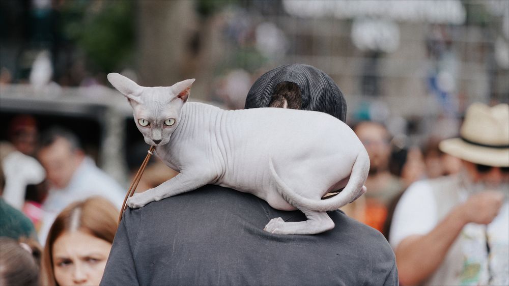 Photograph by David Pipia