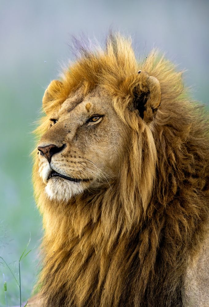 Photograph by Silvia Ribeiro