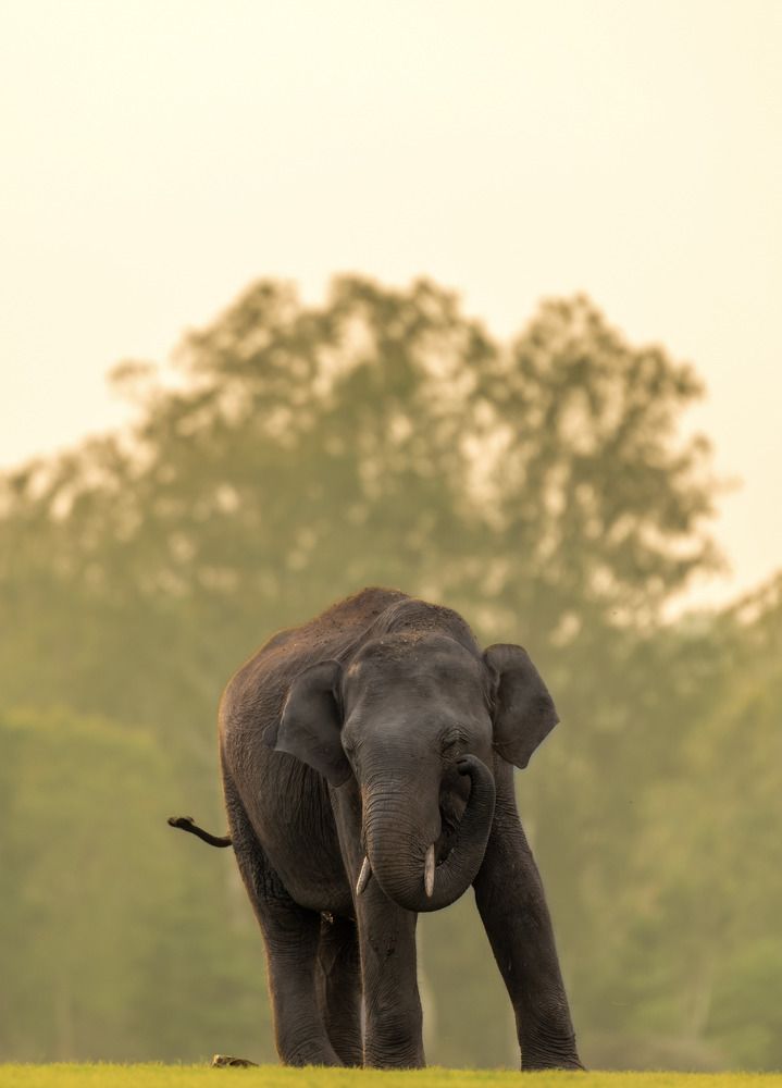 Photograph by Manthan Prasad