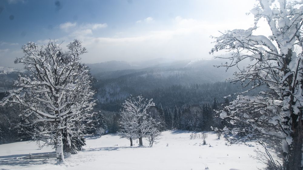 Photograph by Любава Носкова