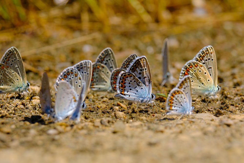 Photograph by Marin Karastoianov