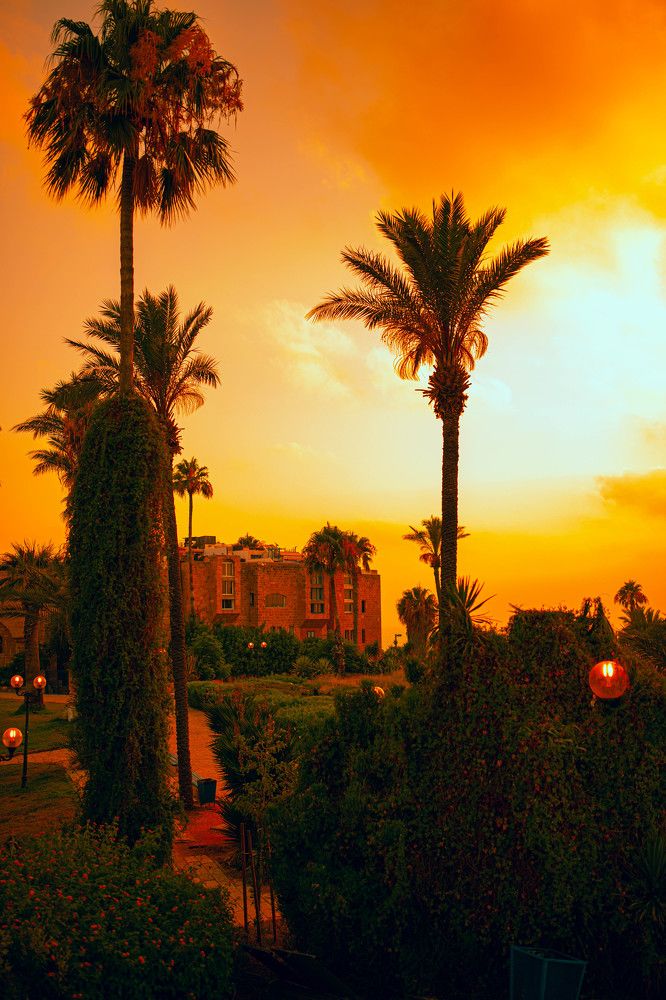 Photograph by Роланд