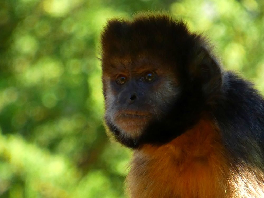 Photograph by Patrícia cruz