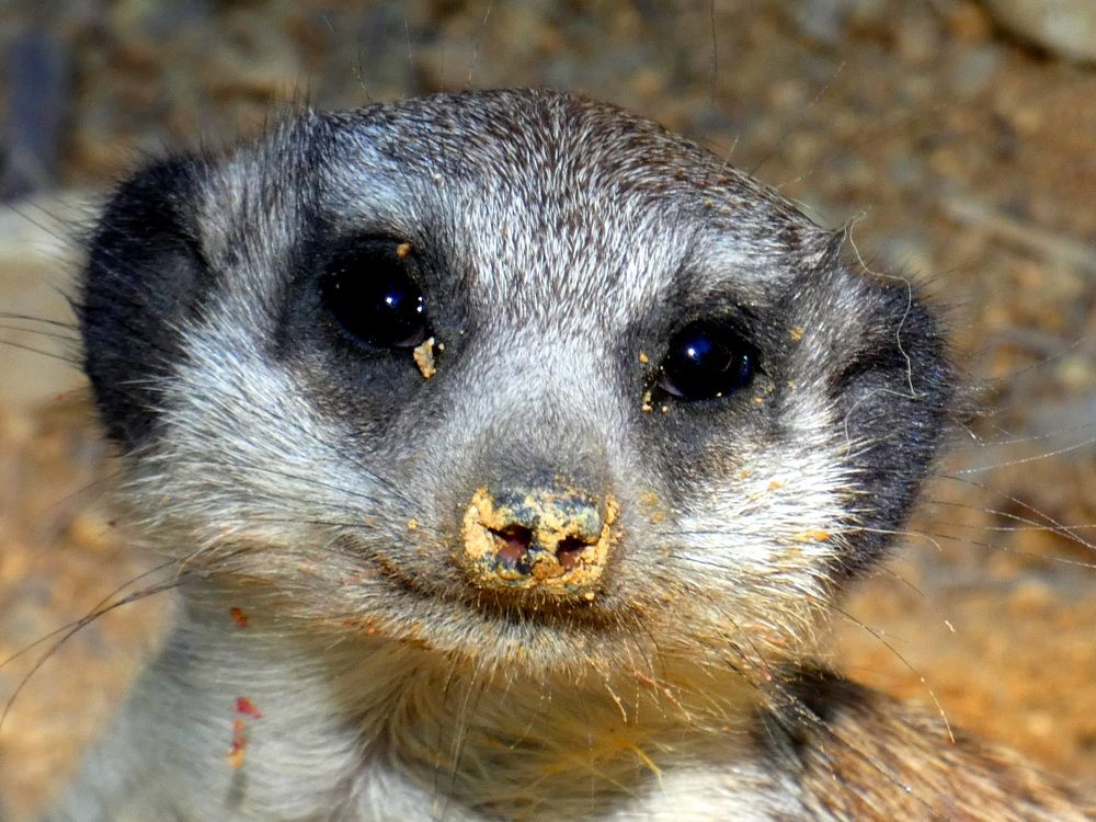 Photograph by Patrícia cruz