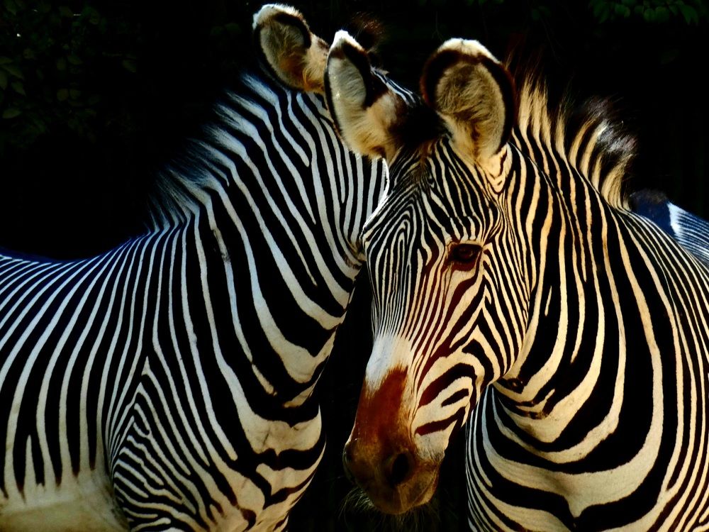 Photograph by Patrícia cruz