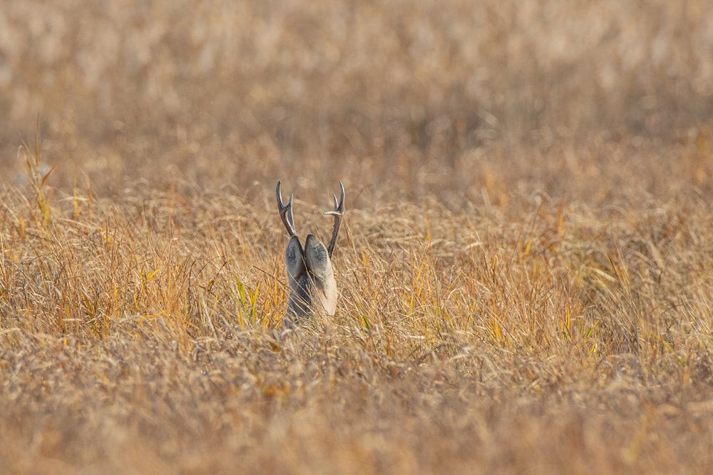 Фотография автора артем федоров