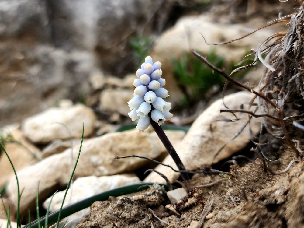 Photograph by Анна