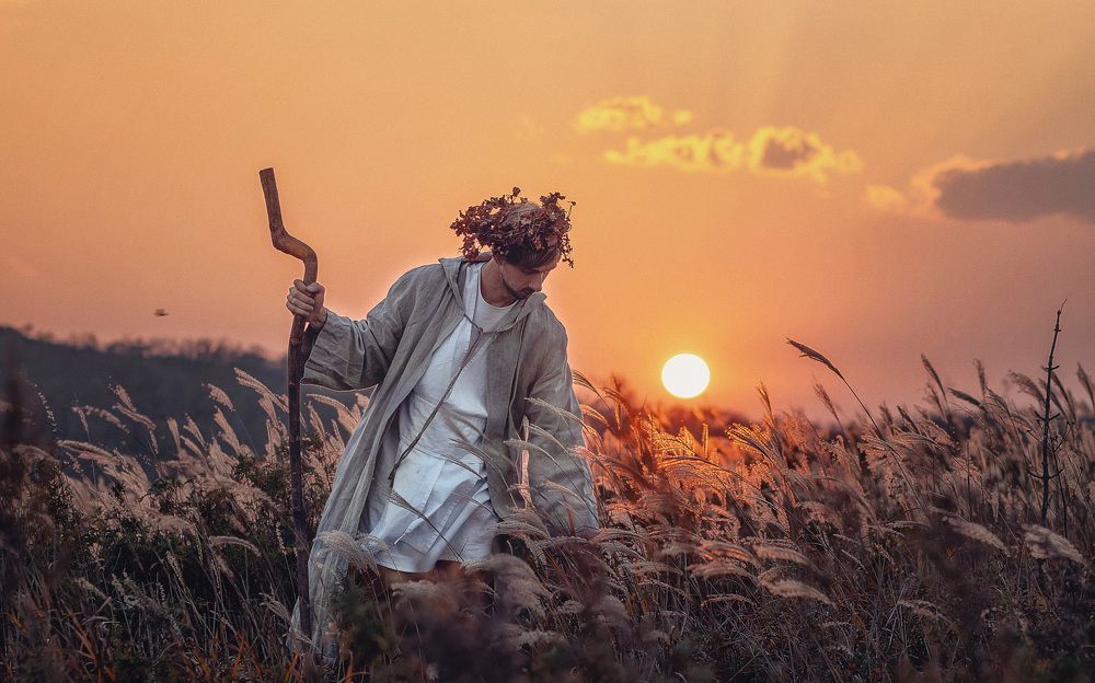 Фотография автора Елена Янченко