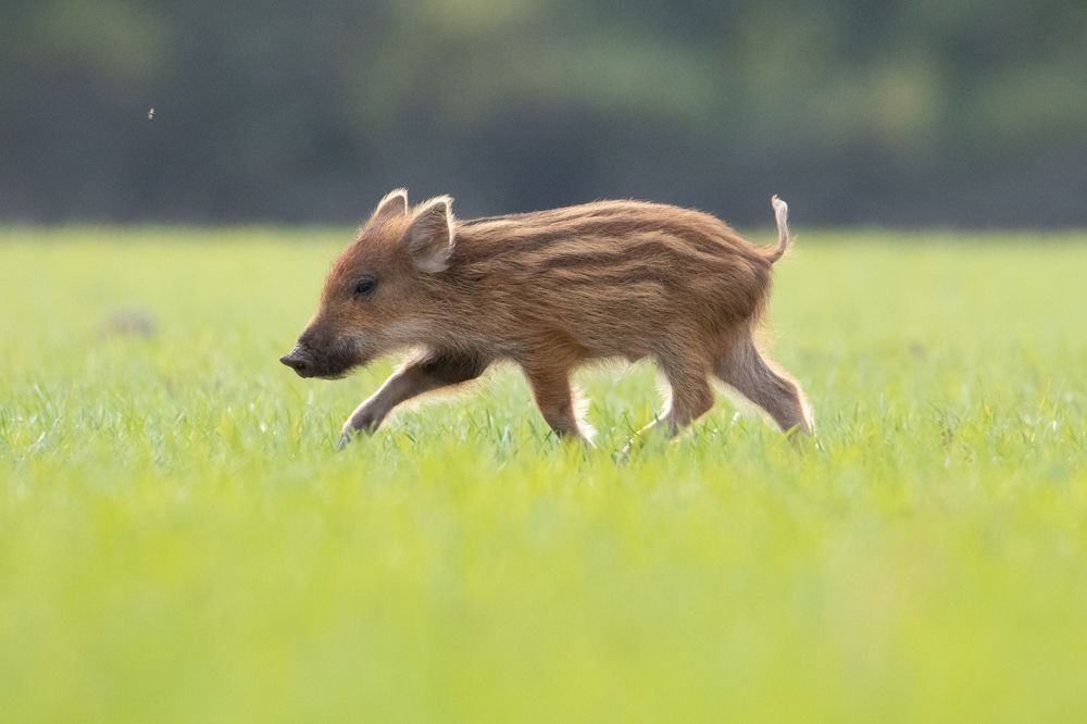 Photograph by Цветков Сергей