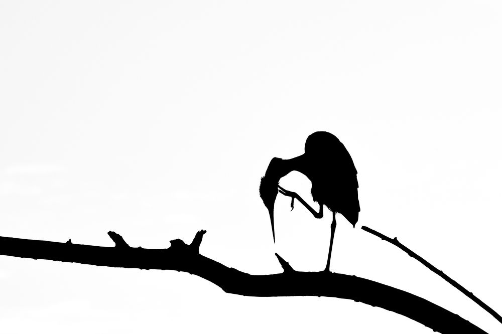 Photograph by Цветков Сергей