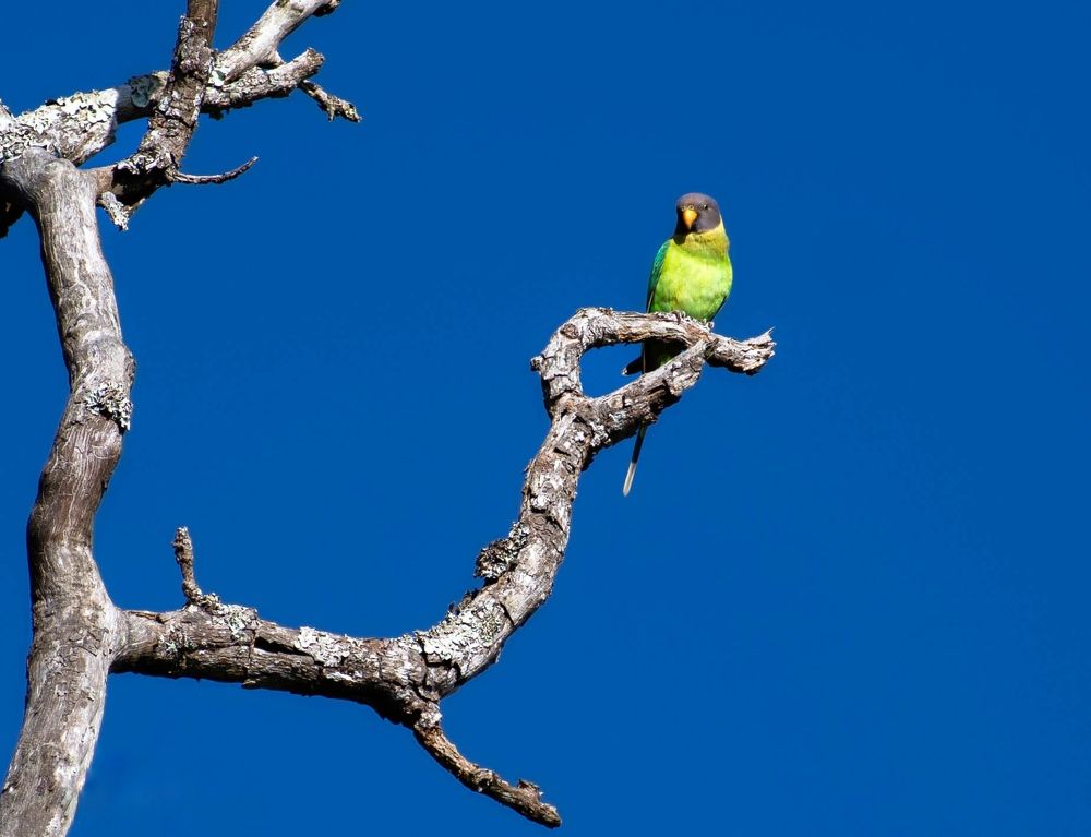 Фотография автора PriyaRajendran