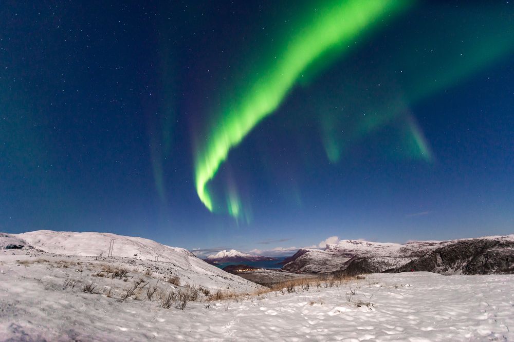 Photograph by Irina Condurachi