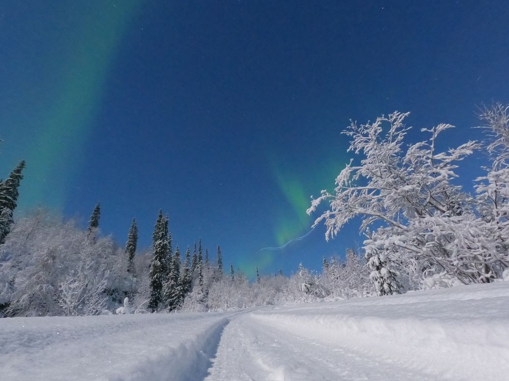 Сияние под Мурманском