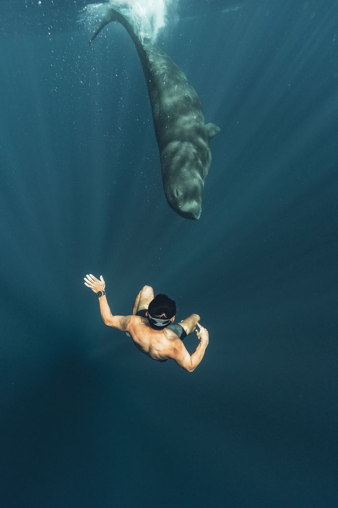 Photograph by Wei Chih Wang