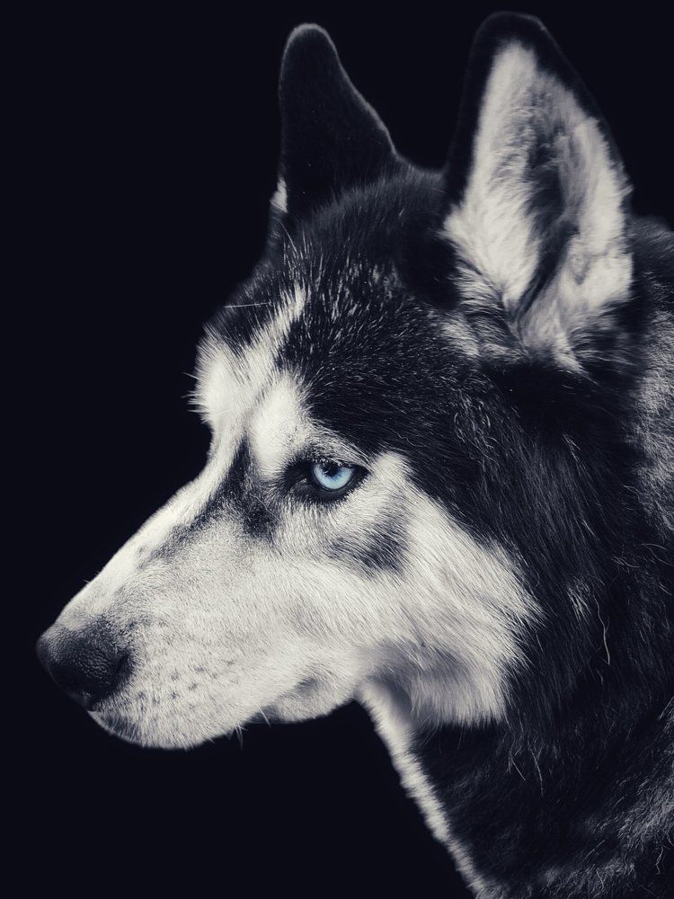 Photograph by Елена Ямнюк