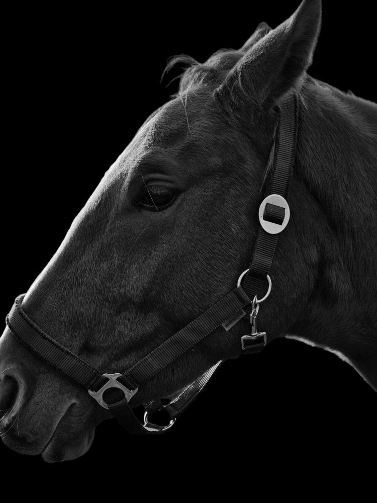 Photograph by Елена Ямнюк