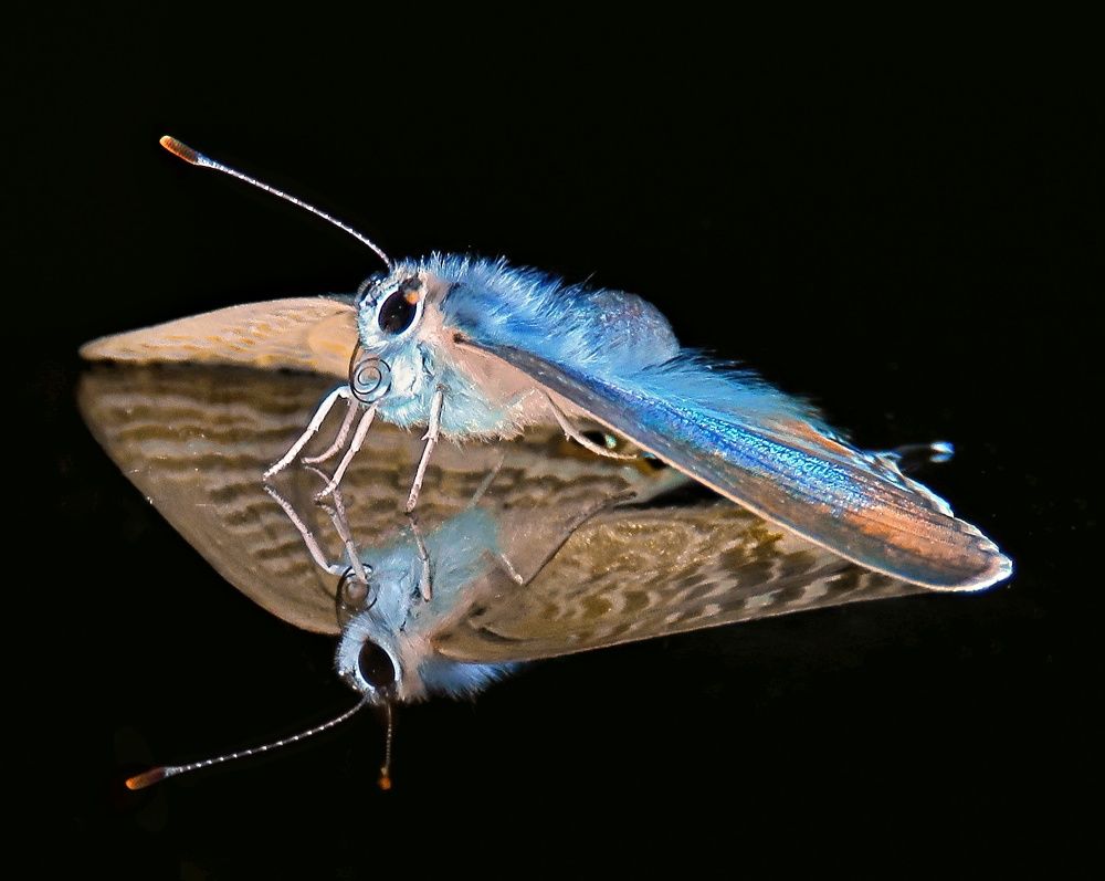 Photograph by Amin Ghaffarian