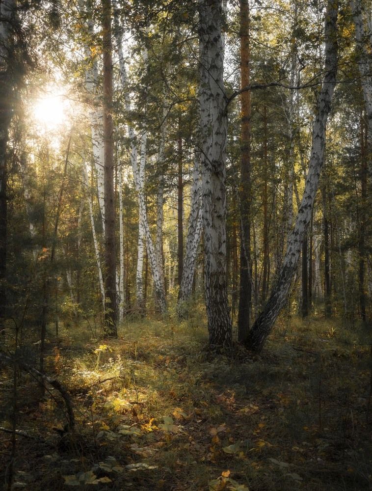 Фотография автора Татьяна Добровольская