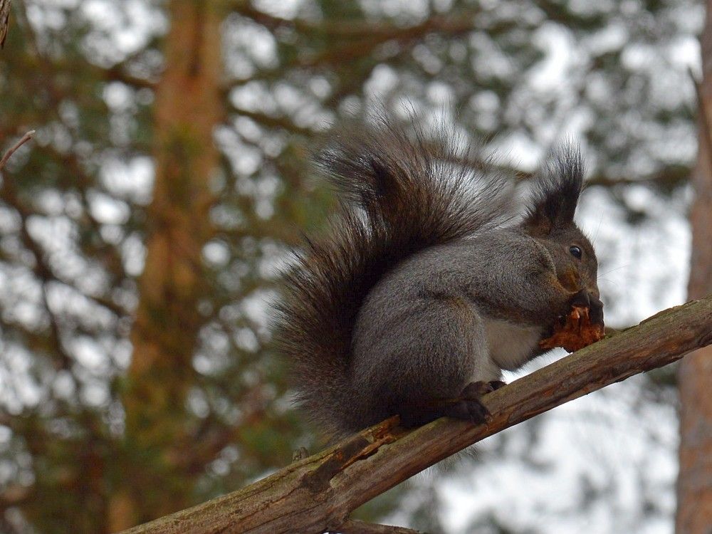 Photograph by Людмила