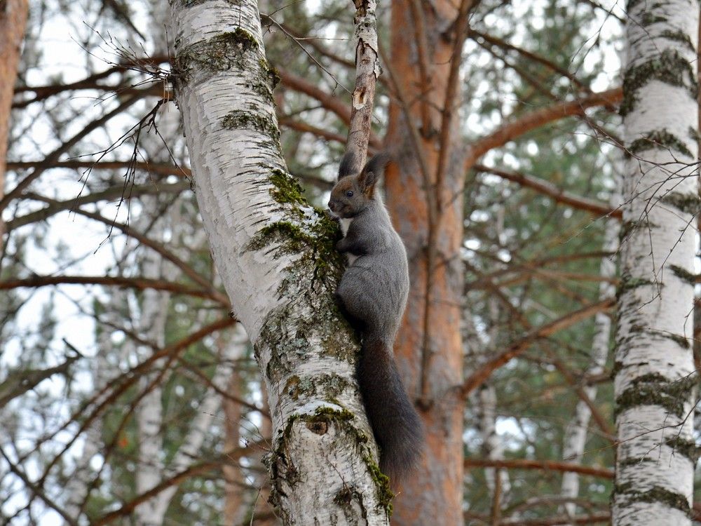 Photograph by Людмила