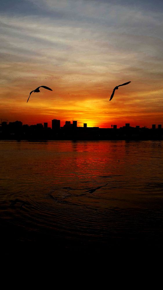 Фотография автора Mohammad davarpanah