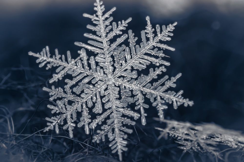 Photograph by Вячеслав Мельников