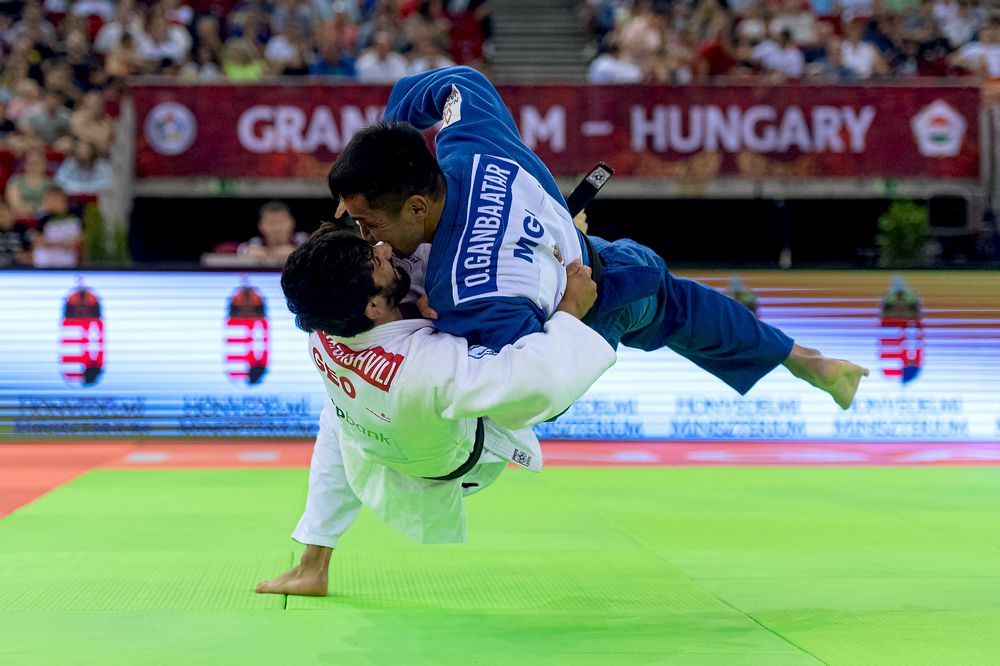 Фотография автора Faller Tamás